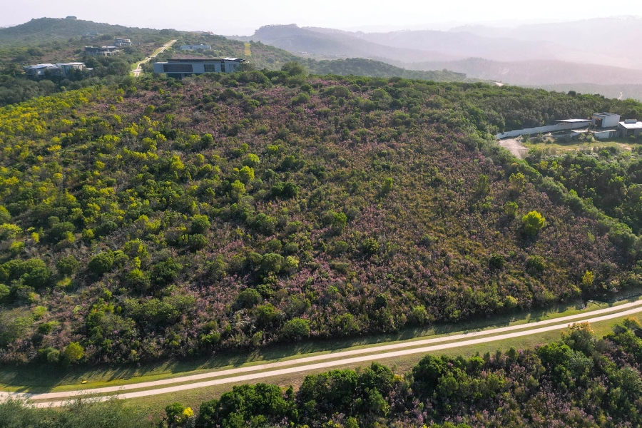 Commercial Property for Sale in Pezula Private Estate Western Cape